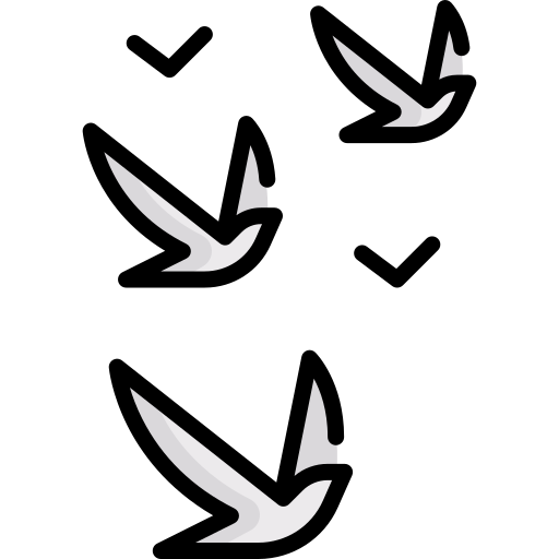 list